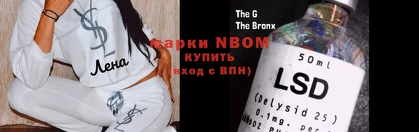 стаф Вязьма