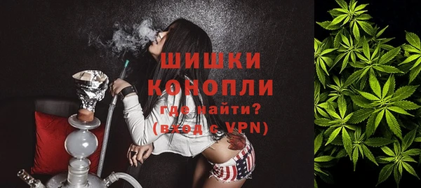 стаф Вязьма