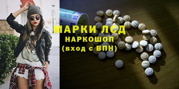 стаф Вязьма