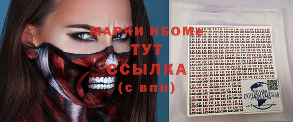 стаф Вязьма