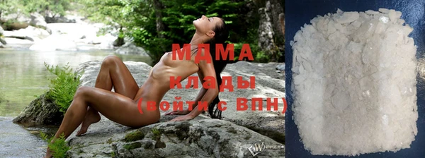 стаф Вязьма