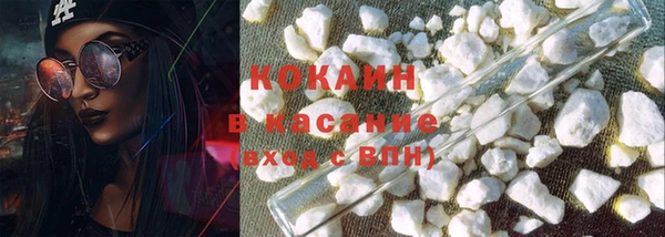 стаф Вязьма
