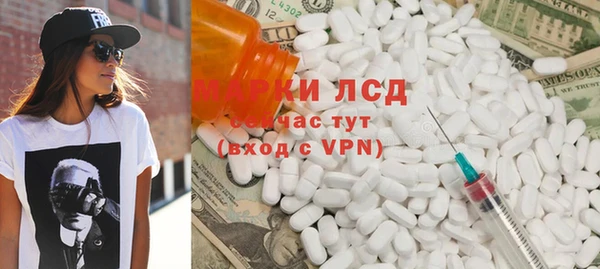 стаф Вязьма