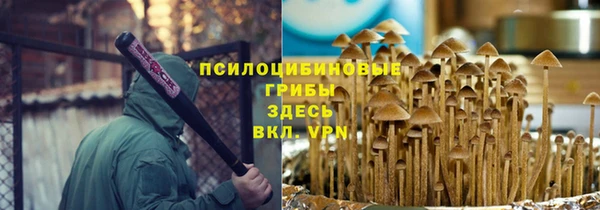 стаф Вязьма