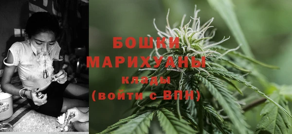 стаф Вязьма