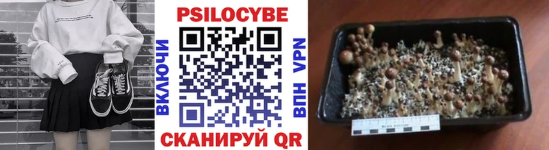Галлюциногенные грибы Psilocybe  это клад  Новороссийск 
