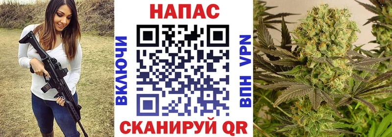 Бошки марихуана OG Kush  Новороссийск 